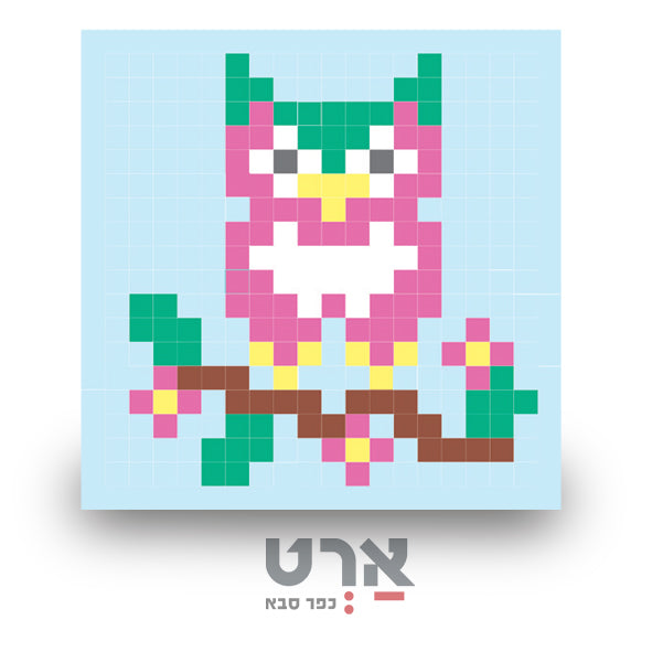 קיט רקמה תך קצר ינשוף 20/20 סמ לילדים