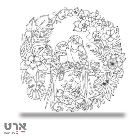 קנבס מודפס 30/30 סמ תוכים לצביעה