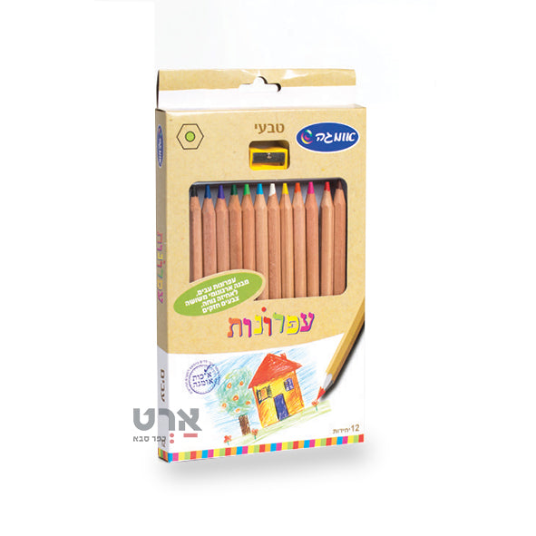 סט עפרונות עבים 12 גוונים לילדים כולל מחדד אומגה