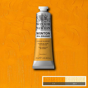 צבעי שמן וינטון 37 מ"ל winton winsor & newton